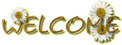 Welcome to our website.